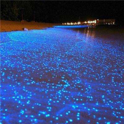 战地模拟器手机测试版下载